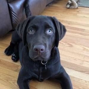 Meet your Posher, Kristi